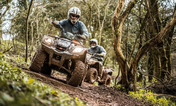 Adult Trail Riding
